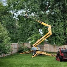 Best Commercial Tree Services  in Westmoreland, TN